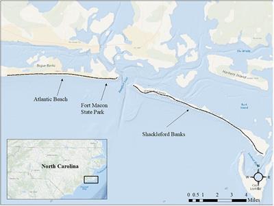 Robotic Vehicles Enable High-Resolution <mark class="highlighted">Light Pollution</mark> Sampling of Sea Turtle Nesting Beaches